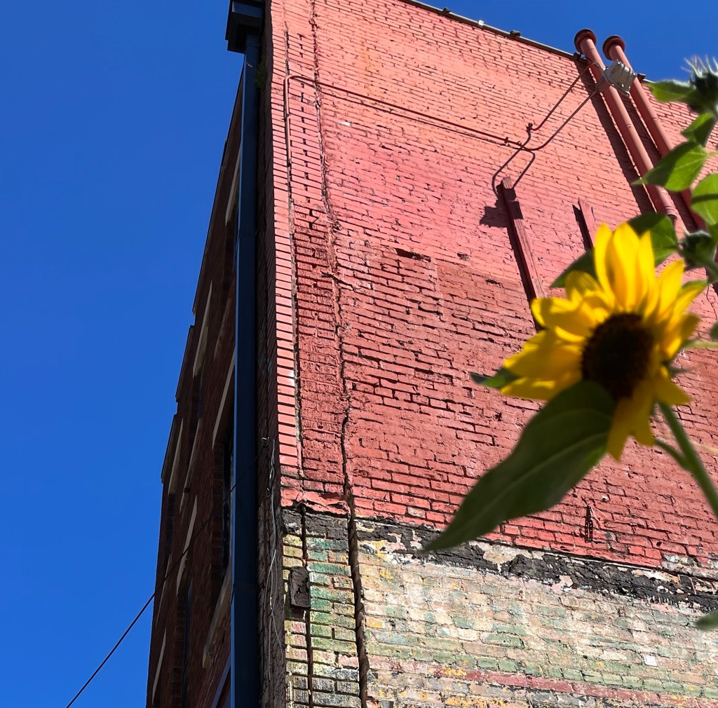 Berkeley Cafe, and the history within its brick&nbsp;walls.